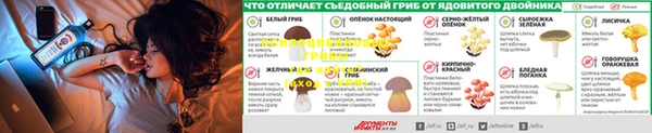 spice Алзамай