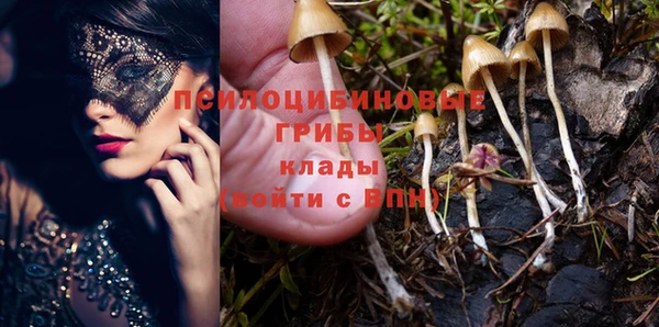 меф Алексин