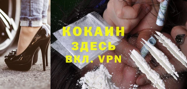 spice Алзамай