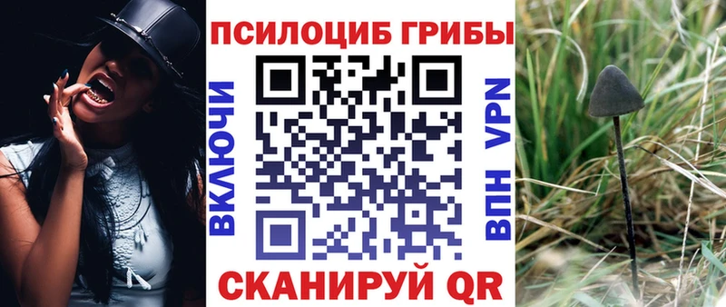 купить   Красновишерск  Псилоцибиновые грибы GOLDEN TEACHER 